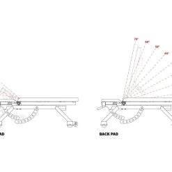 Rogue Fitness AB-2 Adjustable Bench -Rogue Fitness Shop AB 2 WEB4 tm0h8n