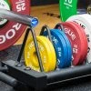 Rogue Fitness Rogue KG Change Plates (IWF)