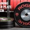 Rogue Fitness Rogue KG Training 2.0 Plates