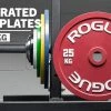 Rogue Fitness Rogue Calibrated KG Steel Plates 2 Rogue Fitness Rogue Calibrated KG Steel Plates -Rogue Fitness Shop IP0519 h lr2zpq