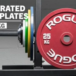 Rogue Fitness Rogue Calibrated KG Steel Plates
