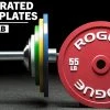 Rogue Fitness Rogue Calibrated LB Steel Plates -Rogue Fitness Shop IP0521 H jrlcuj
