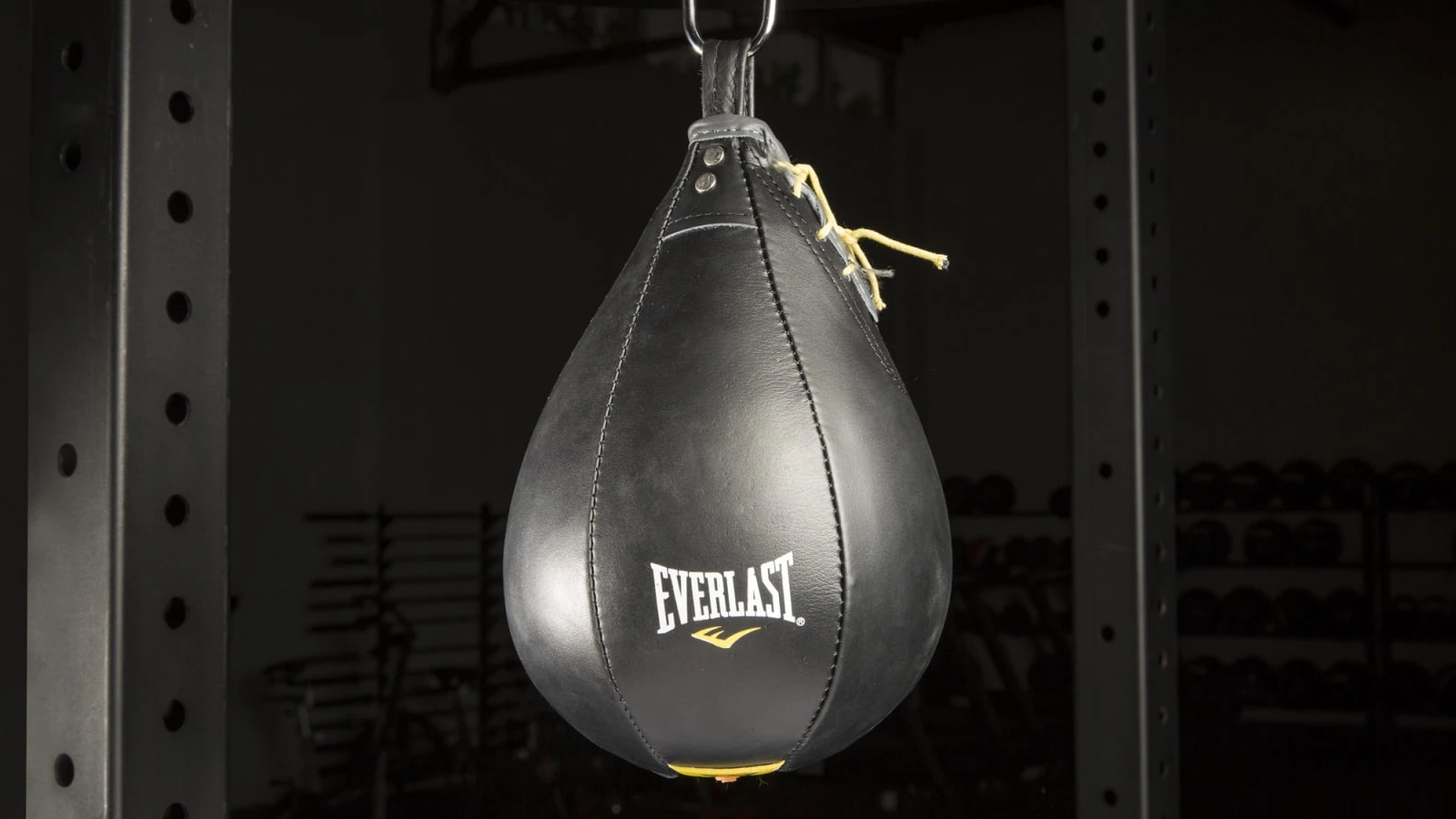 Everlast Standard Leather Speed Bag 3 Everlast Standard Leather Speed Bag