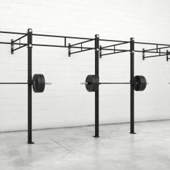 Rogue Fitness Monster Wallmounts