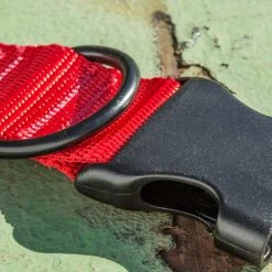 Rogue Fitness Rogue Nylon Dog Collar 10 Rogue Fitness Rogue Nylon Dog Collar -Rogue Fitness Shop RA098 web 3 otpzkw