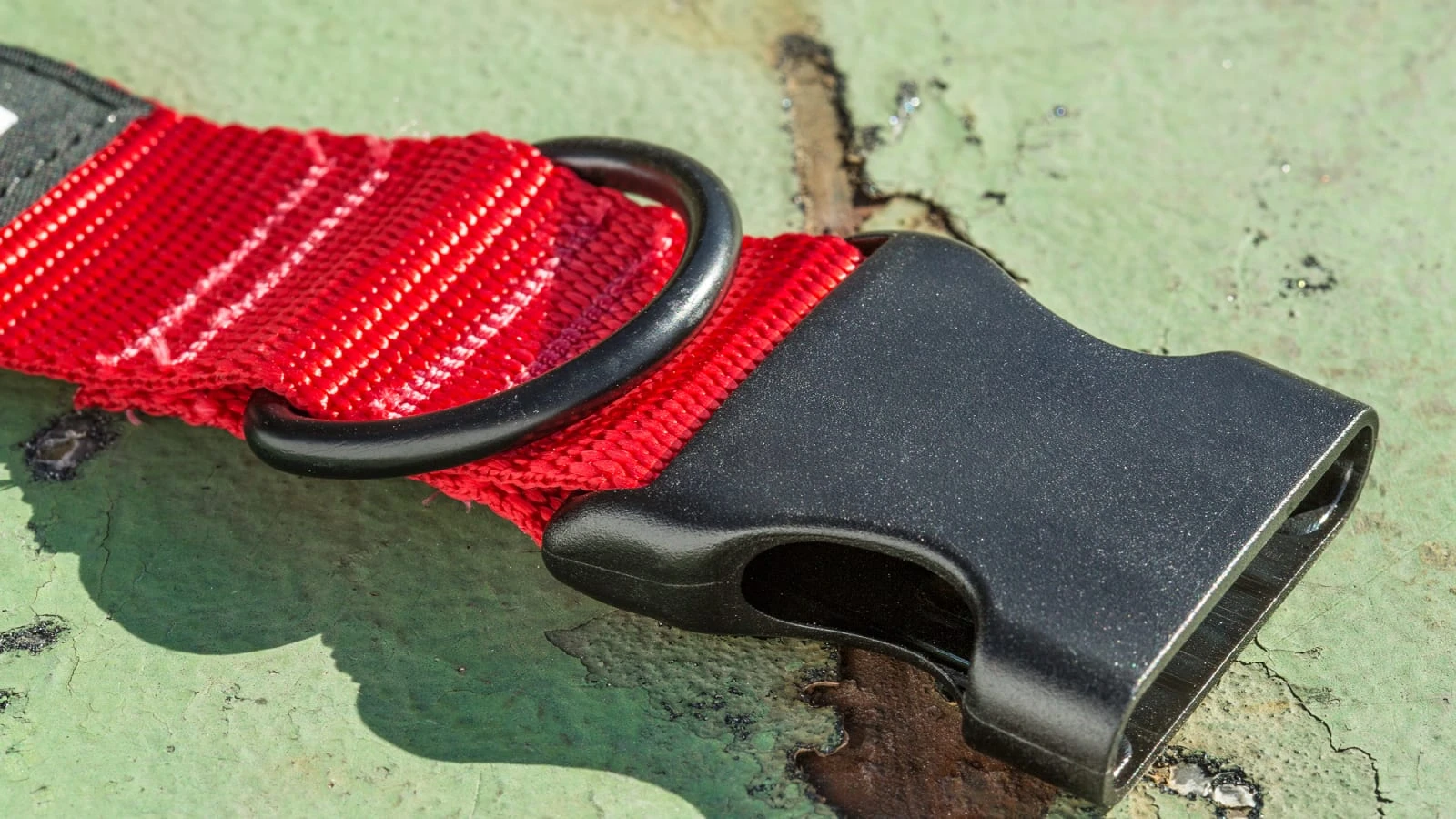 Rogue Fitness Rogue Nylon Dog Collar 6 Rogue Fitness Rogue Nylon Dog Collar - Image 4