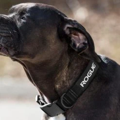 Rogue Fitness Rogue Nylon Dog Collar