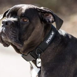 Rogue Fitness Rogue Dog Collar MIL Edition -Rogue Fitness Shop RA1005 WEB5 msoy7k