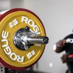 Rogue Fitness Rogue 32MM Squat Bar -Rogue Fitness Shop RA1045 SSDC WEB8 suvafo