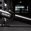 Rogue Fitness Rogue Monster Landmine 2.0