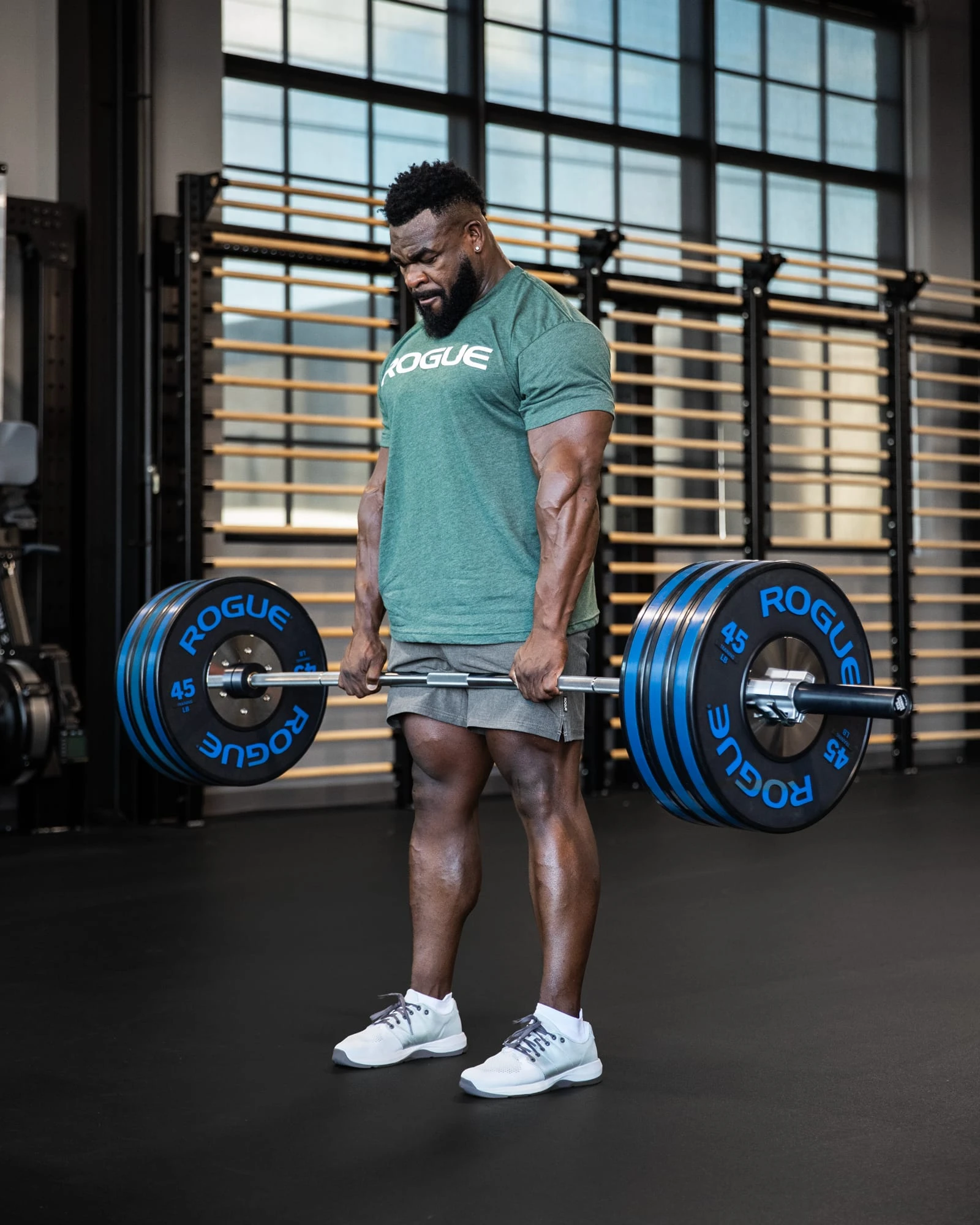 Rogue Fitness Rogue Hybrid Power Bar 4 Rogue Fitness Rogue Hybrid Power Bar - Image 2