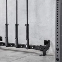 Rogue Fitness Rogue Heavy Rail - Monster Lite -Rogue Fitness Shop RF0978 web3 GFX gadsj8