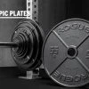 Rogue Fitness Rogue USA Olympic Plates