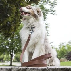 Rogue Fitness Rogue Leather Dog Leash -Rogue Fitness Shop WL0016 HOVER hkejub