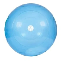 BOSU Balls -Rogue Fitness Shop XX2164 web 1 m855hf