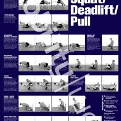 Rogue Fitness Shop -Rogue Fitness Shop XX3539 web 1 oophuw