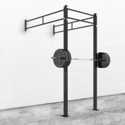 Rogue Fitness Rogue MLW-4 - 4' Monster Lite Wall Mount