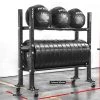 Rogue Fitness 2-Tier Mass Storage System - 43"