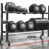 Rogue Fitness 2-Tier Mass Storage System - 70" -Rogue Fitness Shop XX7315 h v1pgf1